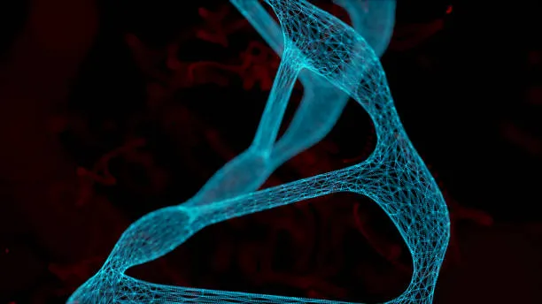 3D-визуализатор структуры ДНК